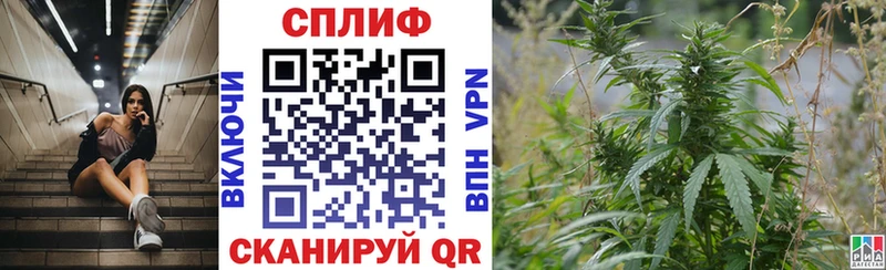 Канабис индика где продают Краснообск